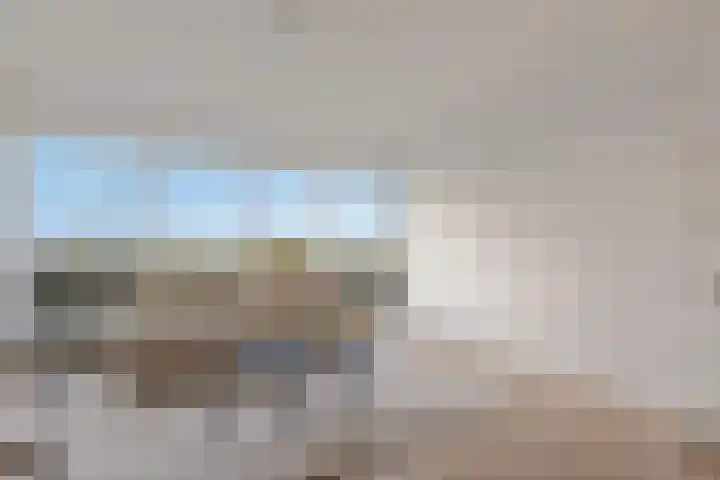 Faustdreef 319 Utrecht thumbnail 8