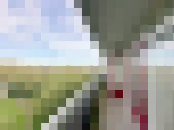 Faustdreef 435 Utrecht thumbnail 11