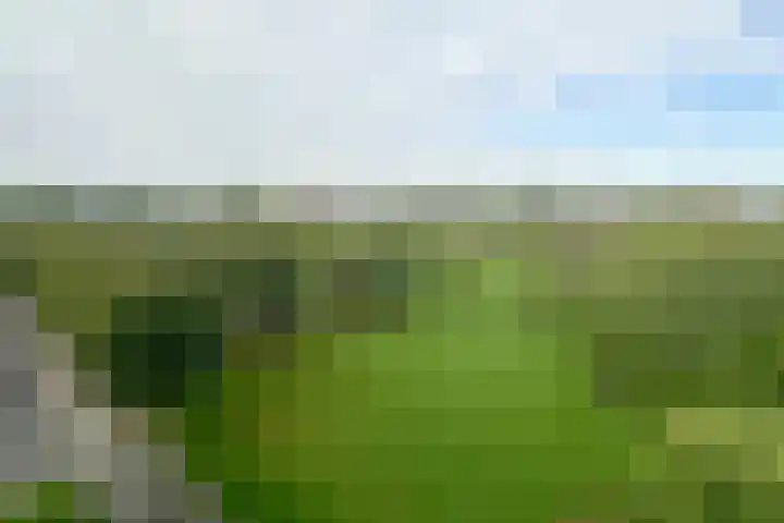 Faustdreef 435 Utrecht thumbnail 12
