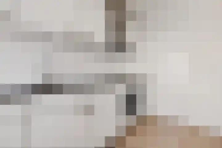 Faustdreef 435 Utrecht thumbnail 18