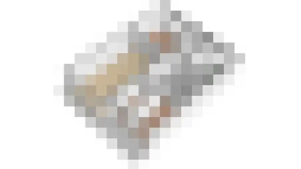 Faustdreef 473 Utrecht thumbnail 27