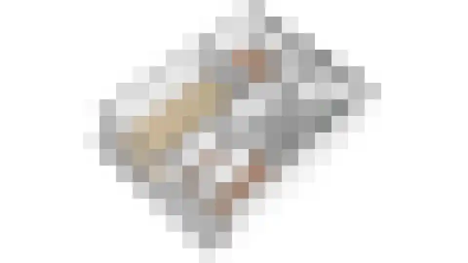 Faustdreef 473 Utrecht thumbnail 27