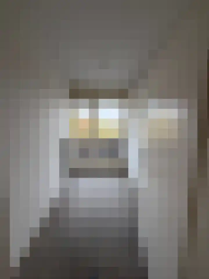 Faustdreef 93 Utrecht thumbnail 11