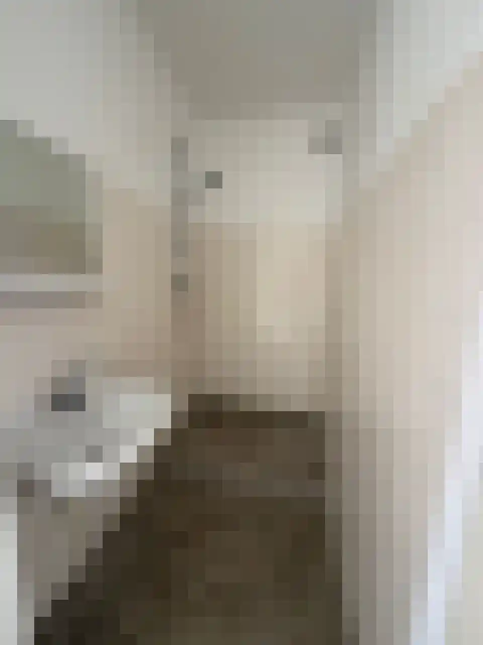 Faustdreef 93 Utrecht thumbnail 12