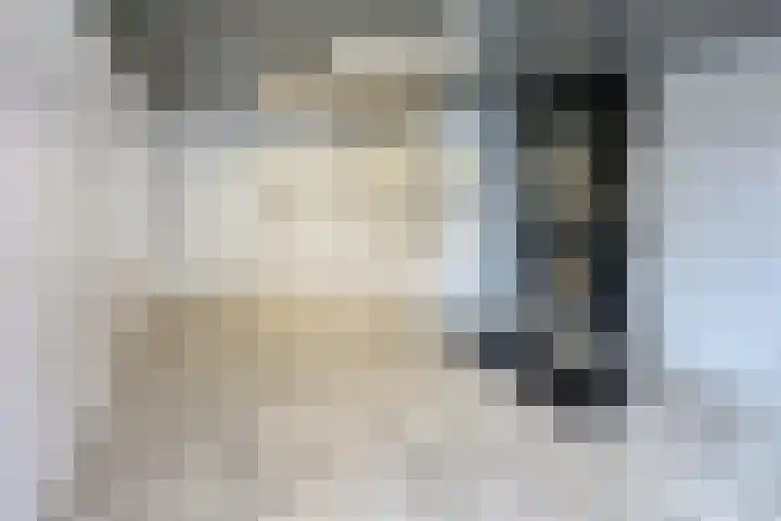 Faustdreef 93 Utrecht thumbnail 4