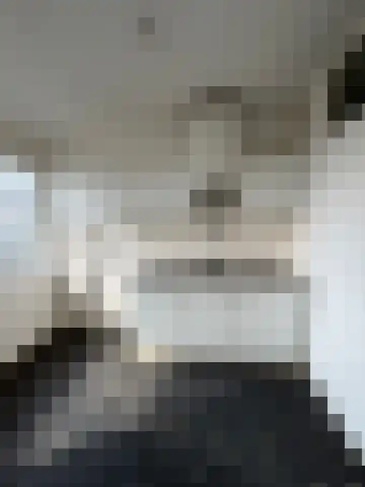Faustdreef 93 Utrecht thumbnail 7
