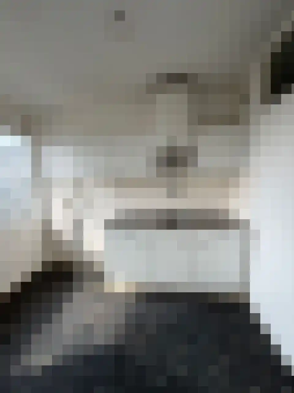 Faustdreef 93 Utrecht thumbnail 7