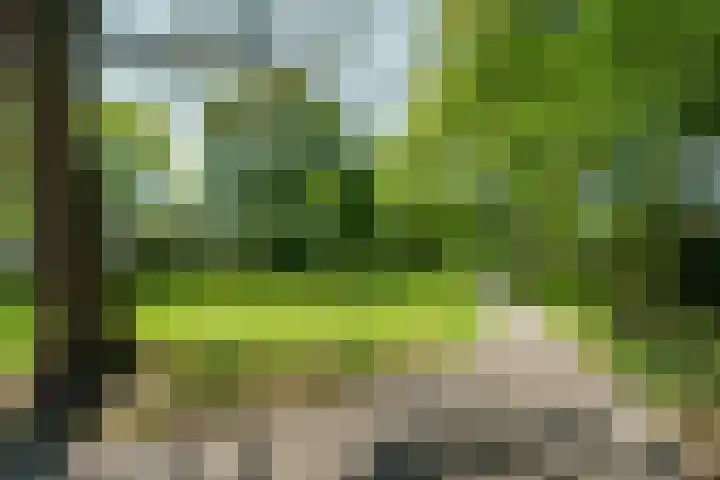 Faustlaan 22 Nieuwegein thumbnail 19