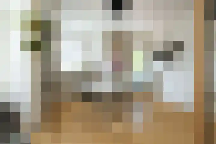 Faustlaan 22 Nieuwegein thumbnail 6