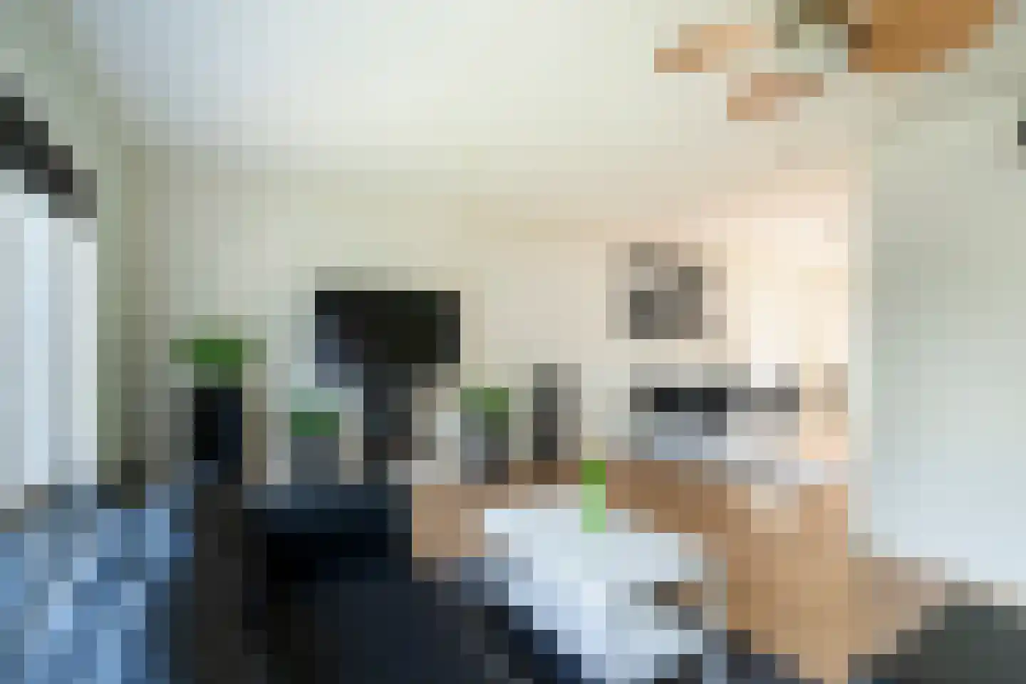 Faustlaan 28 Nieuwegein thumbnail 12