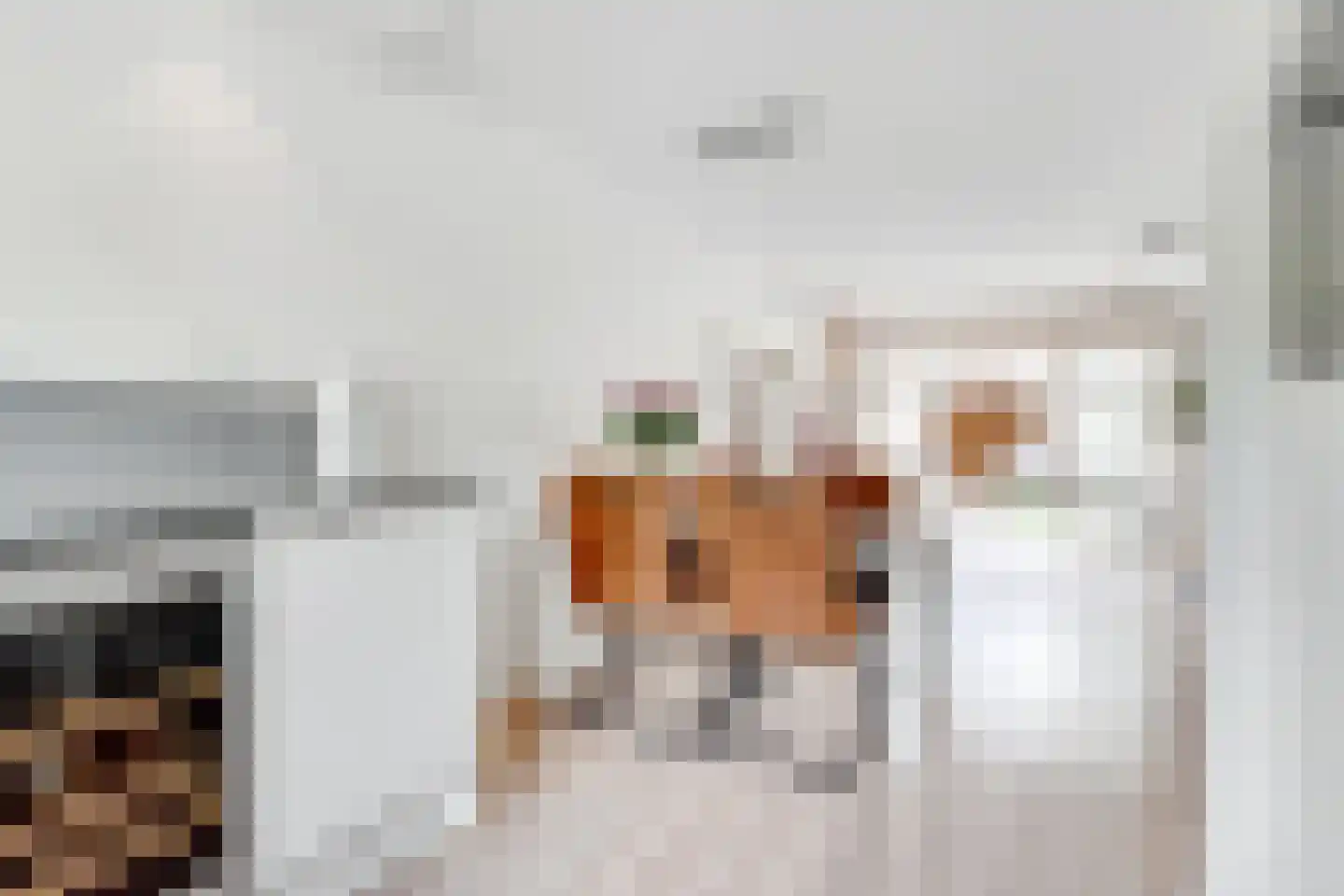 Faustlaan 66 Nieuw-Vennep thumbnail 33