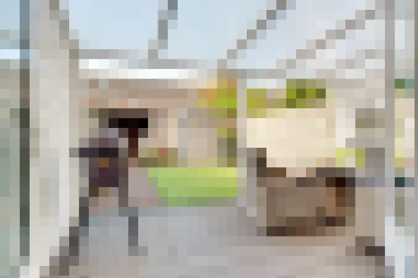 Faustlaan 66 Nieuw-Vennep thumbnail 8