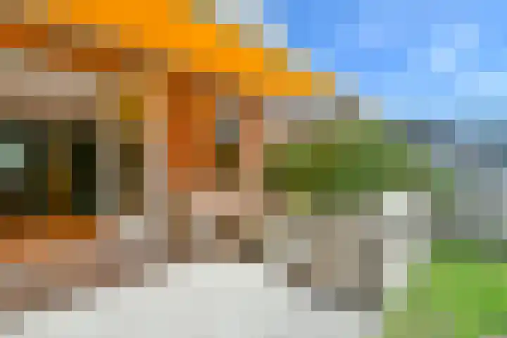 Faustlaan 72 Nieuw-Vennep thumbnail 33