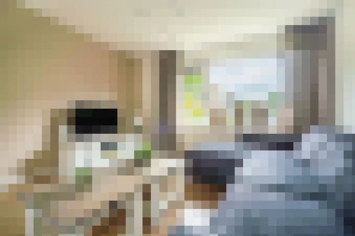 Fauststraat 19 Waardenburg thumbnail 19