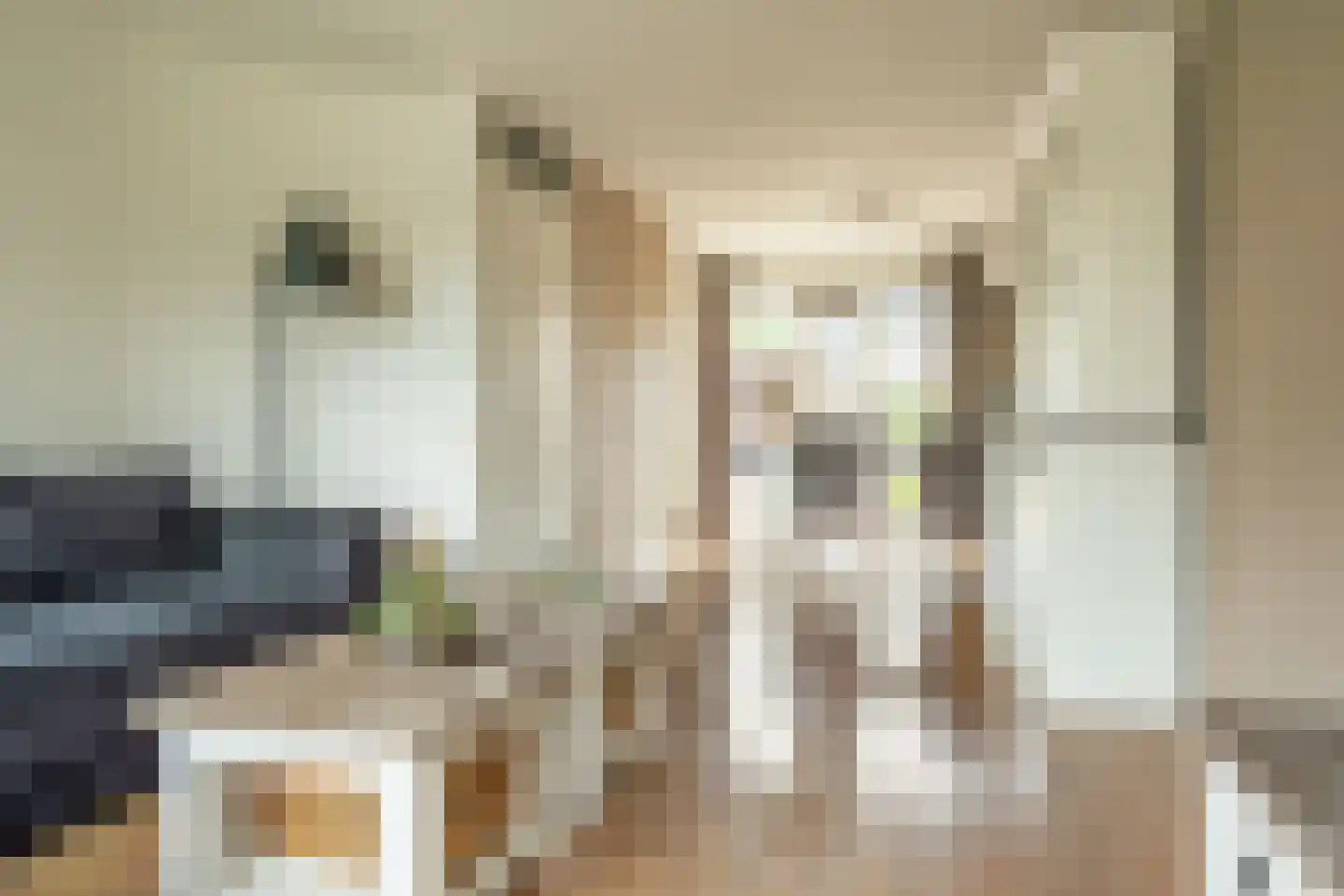 Fauststraat 19 Waardenburg thumbnail 22