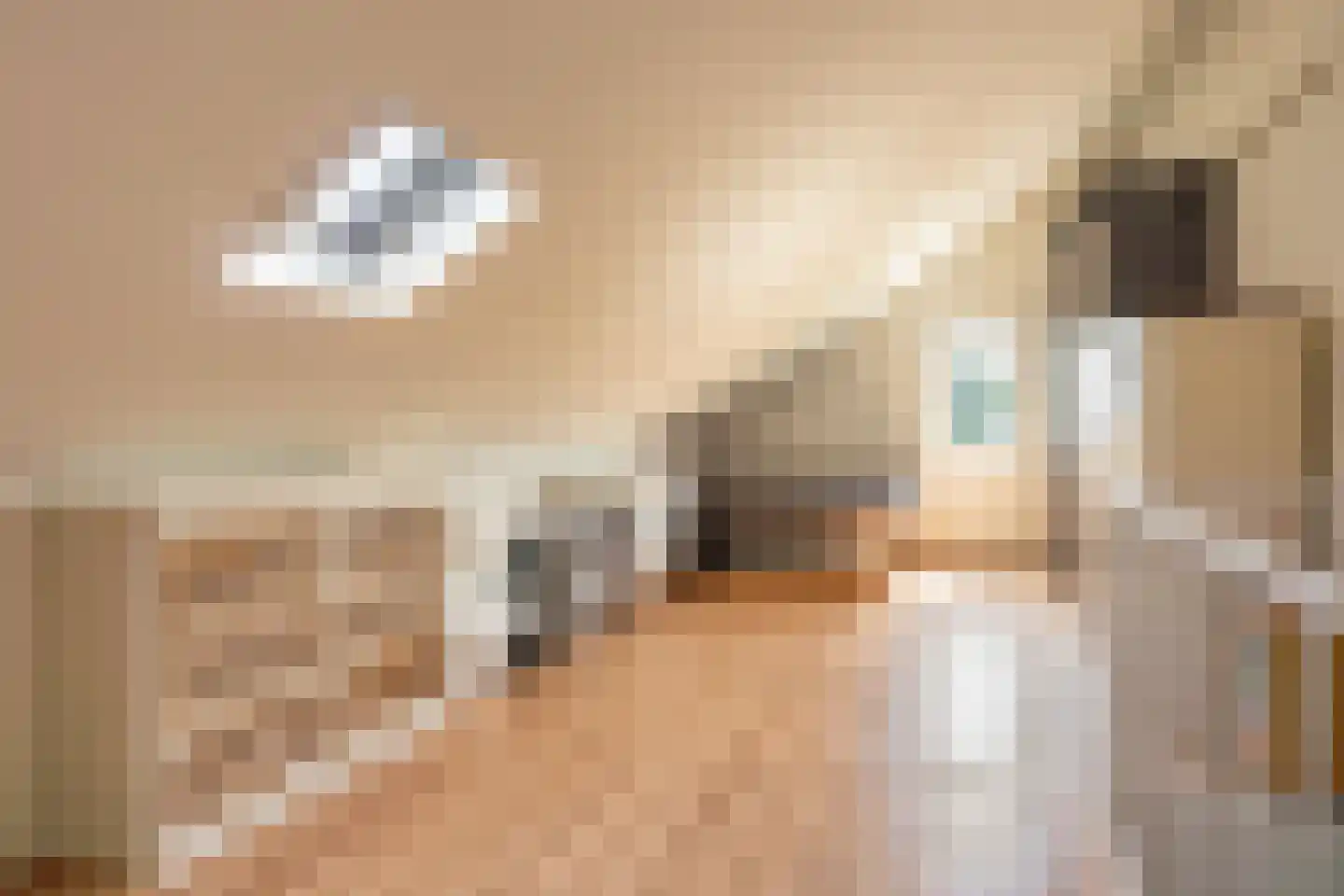 Fauststraat 19 Waardenburg thumbnail 38