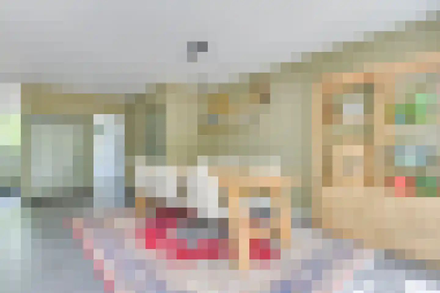 Fauststraat 31 Alkmaar thumbnail 14
