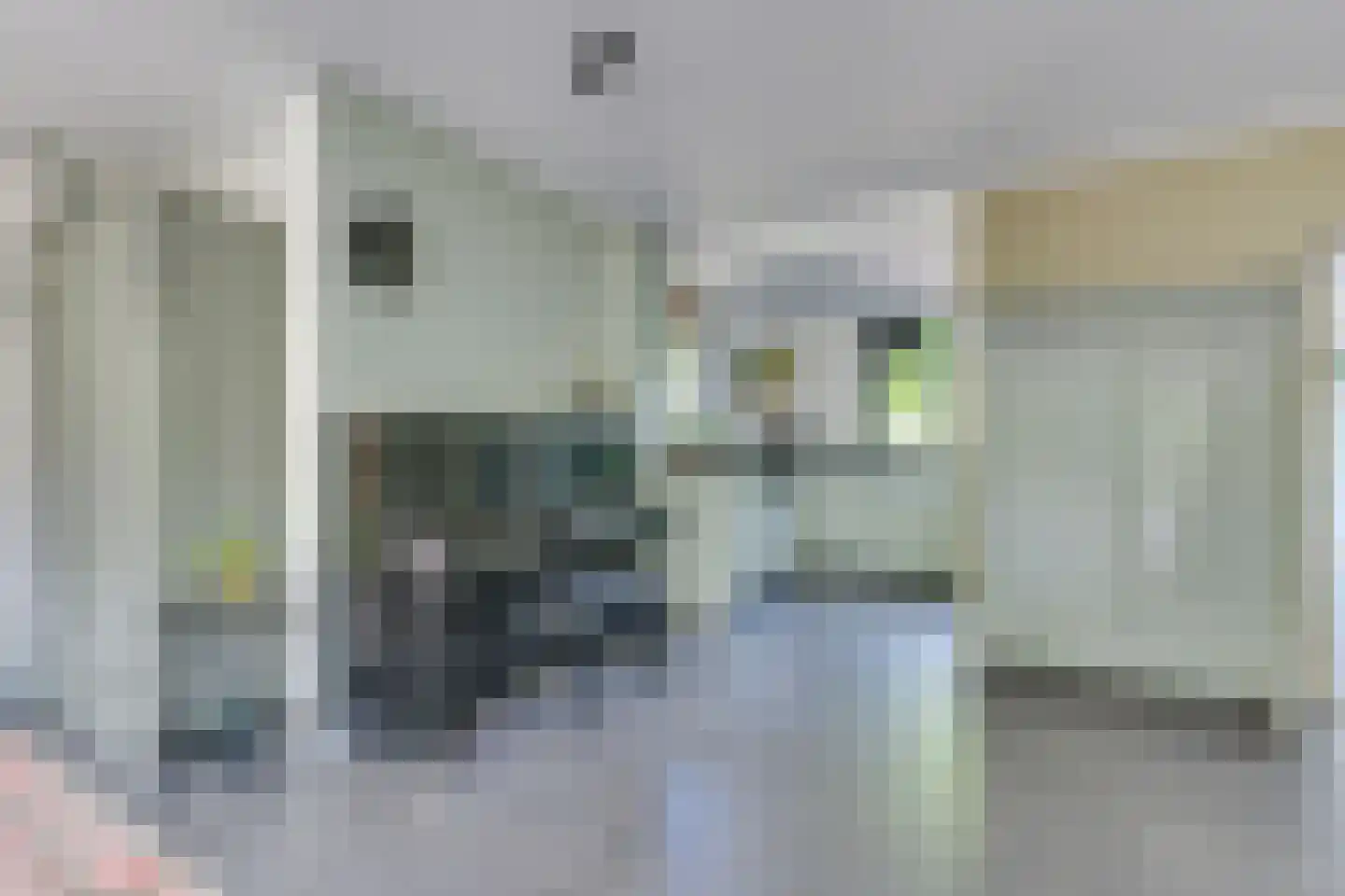 Fauststraat 31 Alkmaar thumbnail 16