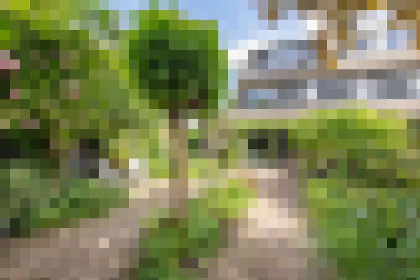 Fauststraat 31 Alkmaar thumbnail 34
