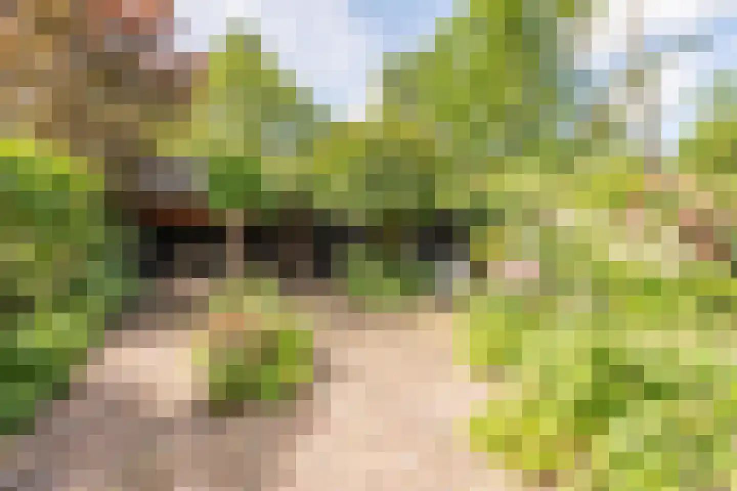 Fauststraat 31 Alkmaar thumbnail 36