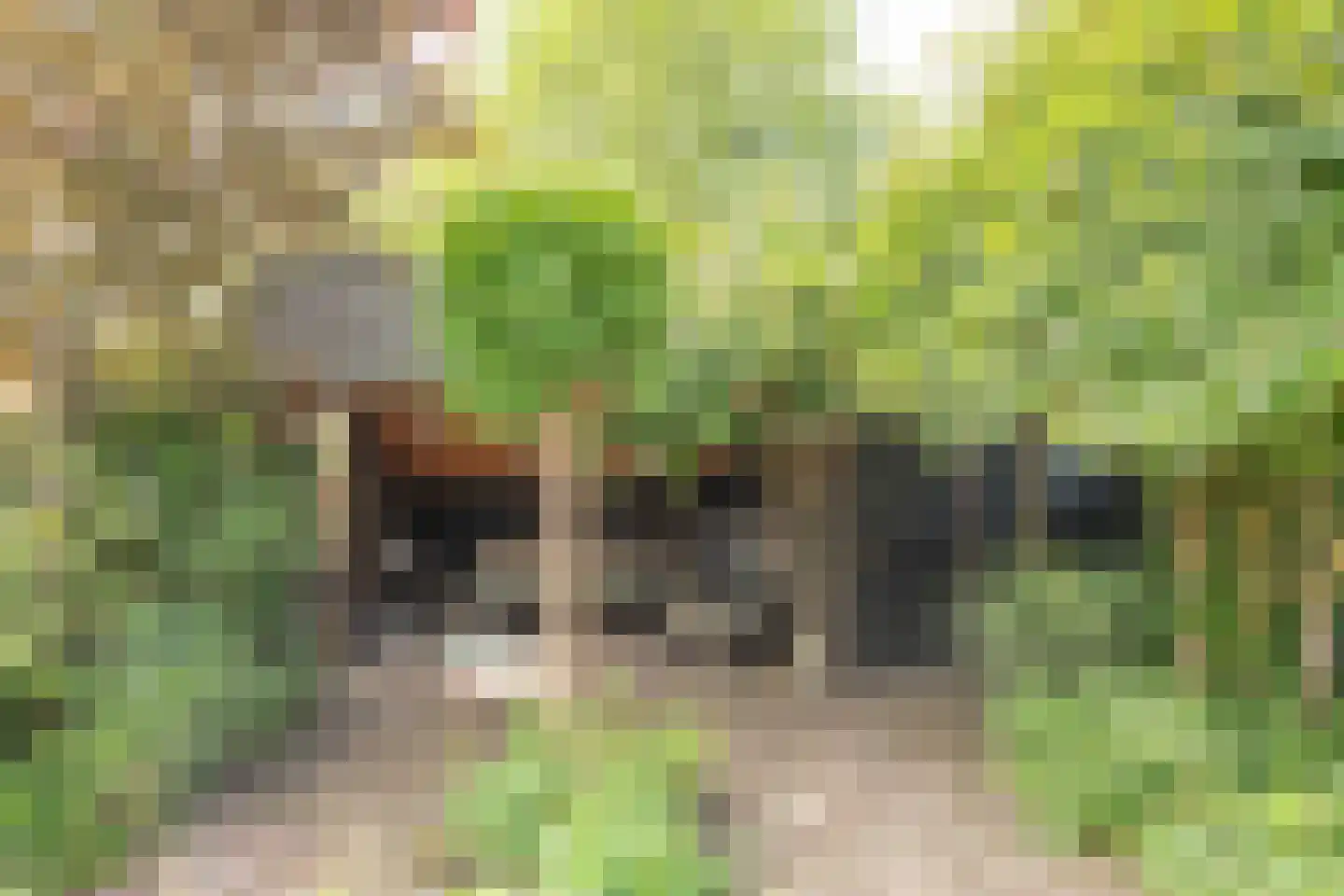 Fauststraat 31 Alkmaar thumbnail 38