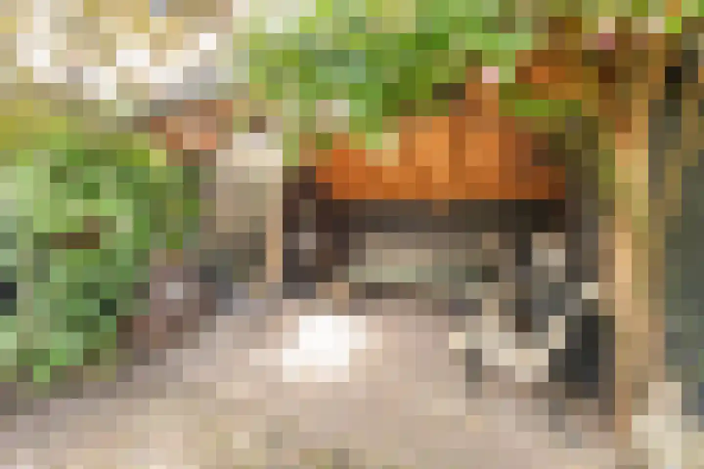 Fauststraat 31 Alkmaar thumbnail 39