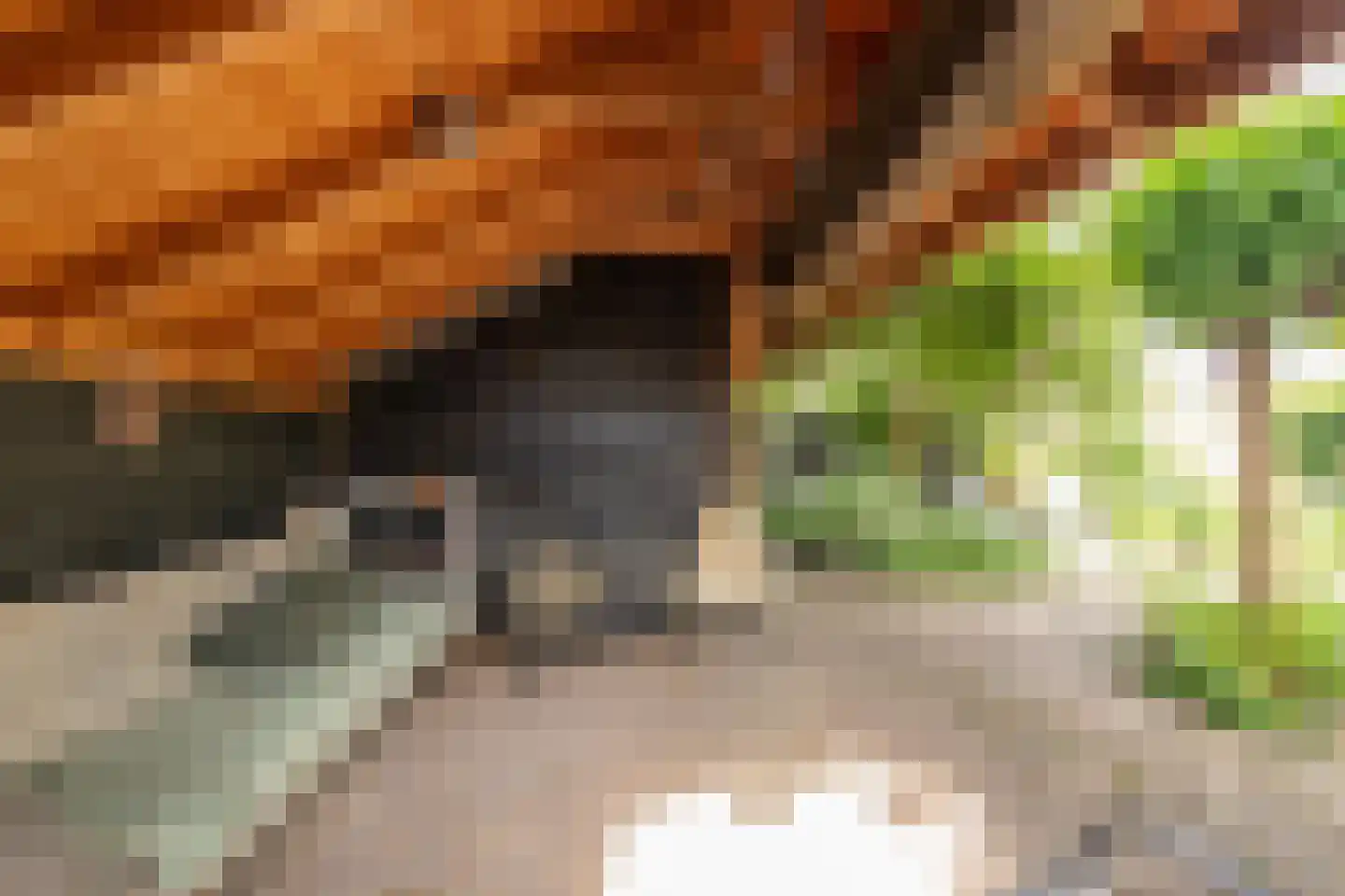 Fauststraat 31 Alkmaar thumbnail 4