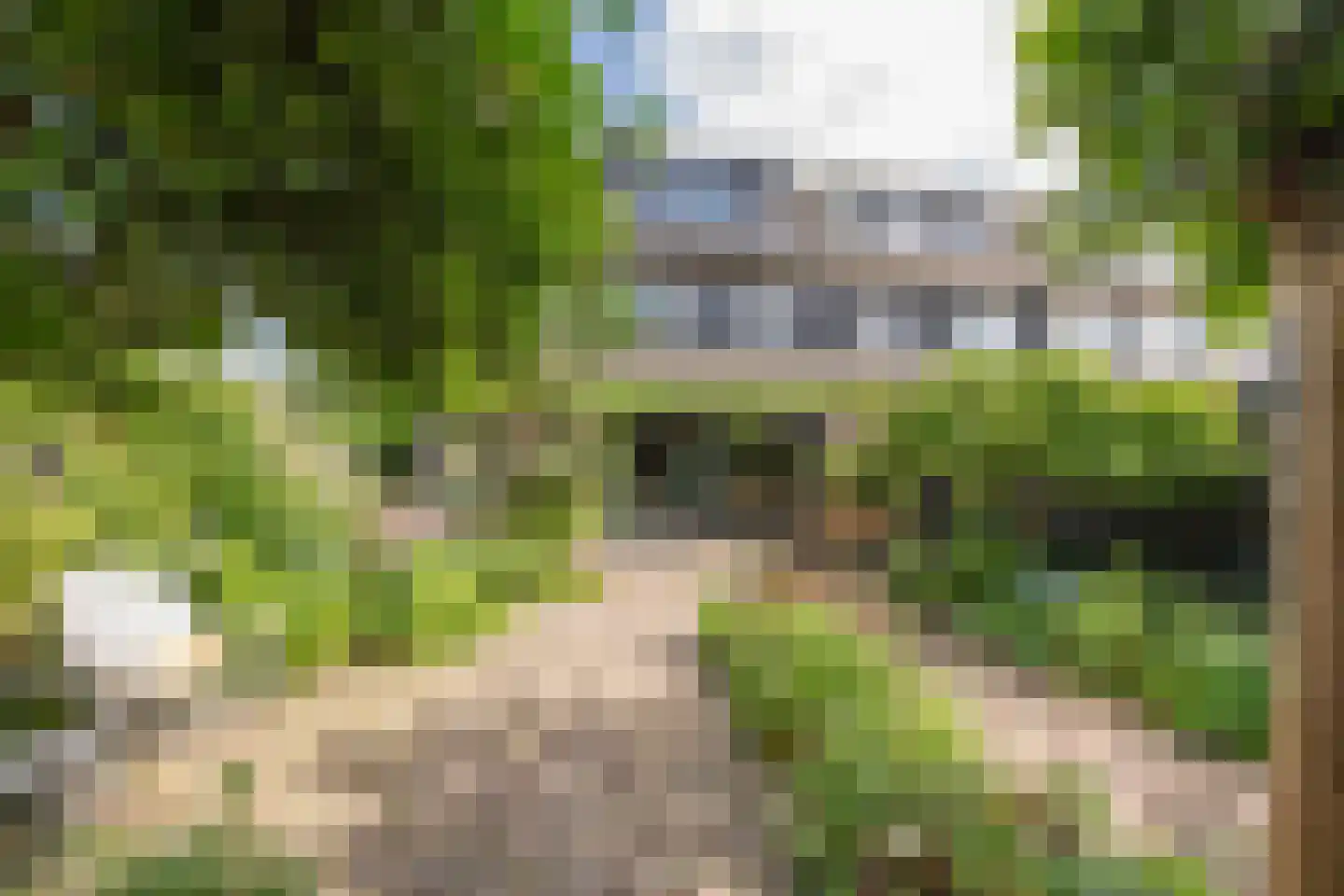 Fauststraat 31 Alkmaar thumbnail 5