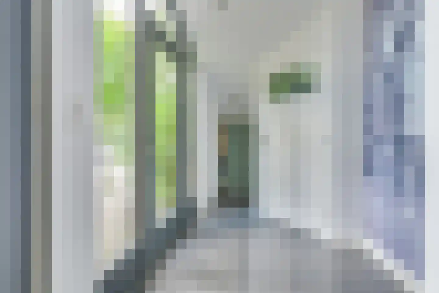 Fauststraat 31 Alkmaar thumbnail 8