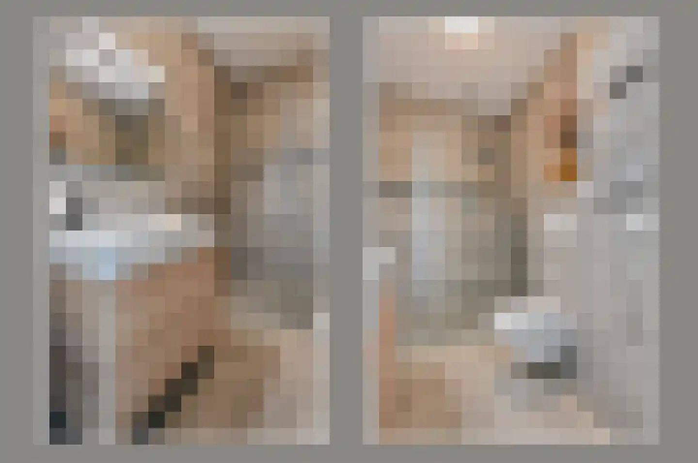 Fazant 11 Uithoorn thumbnail 15