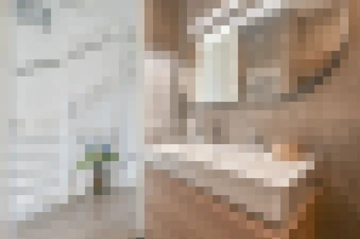 Fazant 11 Uithoorn thumbnail 16