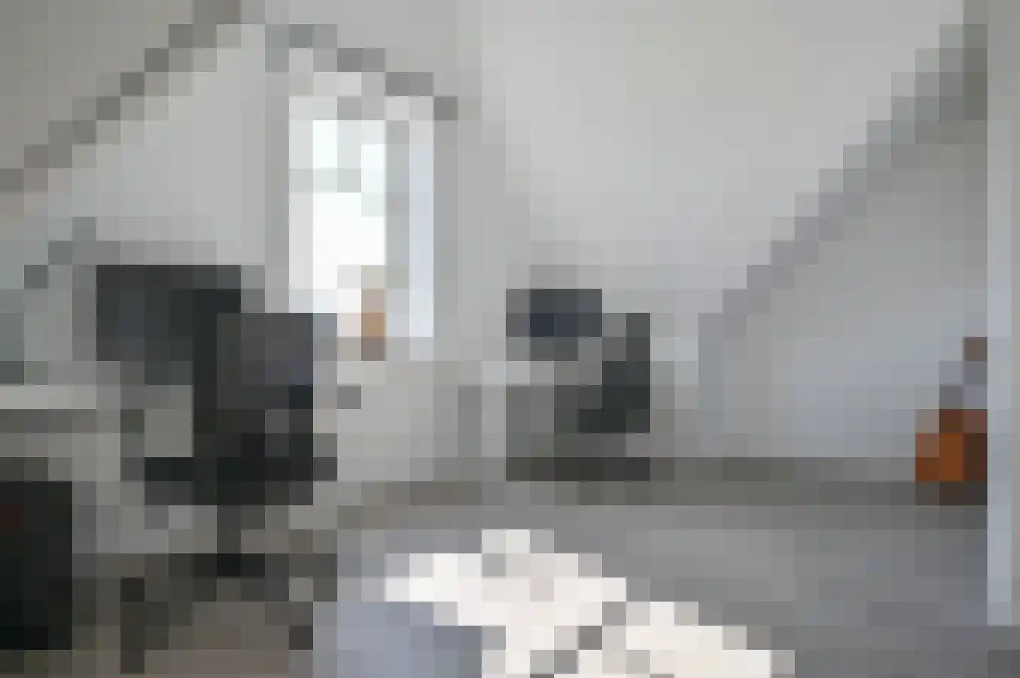 Fazant 11 Uithoorn thumbnail 20