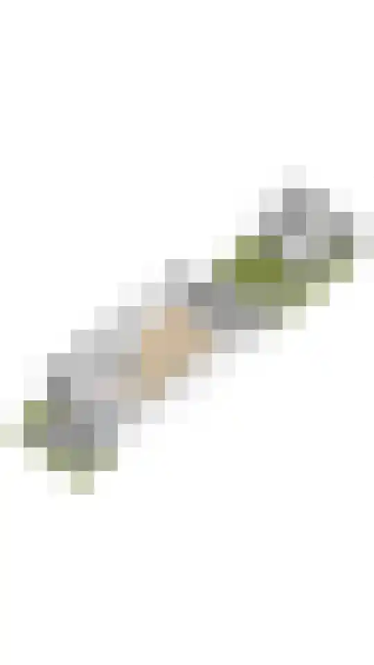 Fazant 11 Uithoorn thumbnail 31