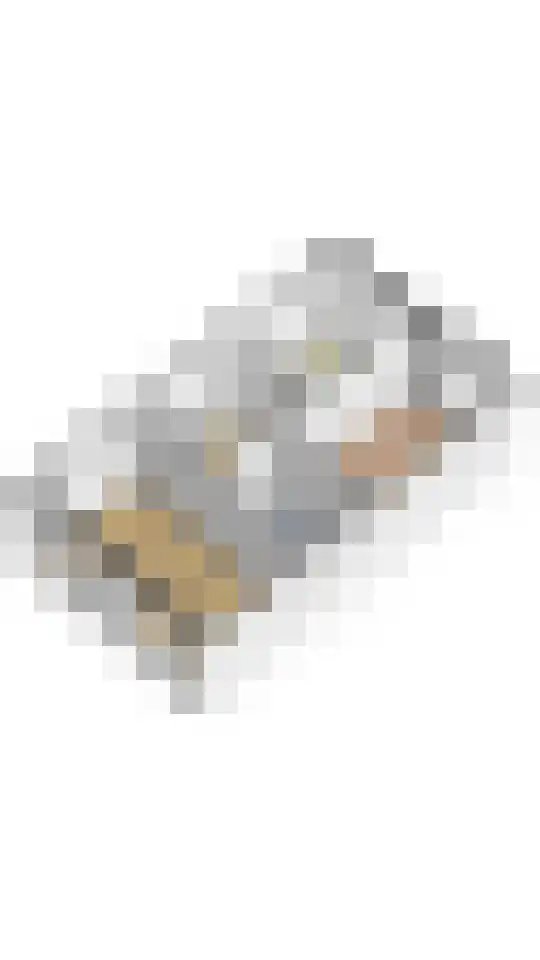 Fazant 11 Uithoorn thumbnail 35