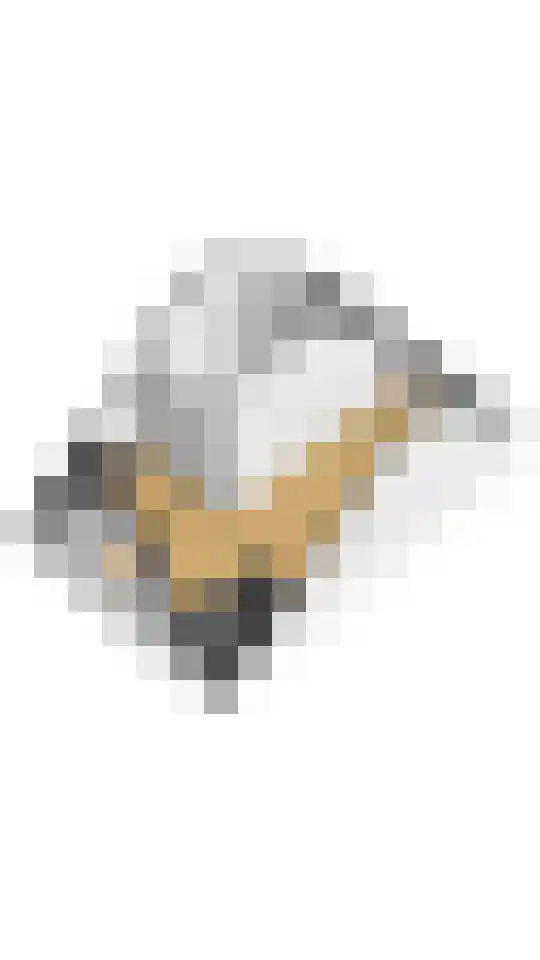 Fazant 11 Uithoorn thumbnail 37