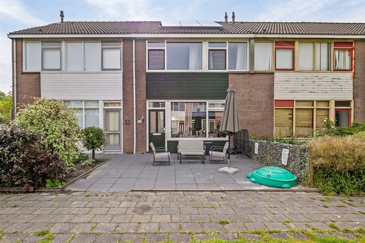 Fazant 13 in Grijpskerk foto