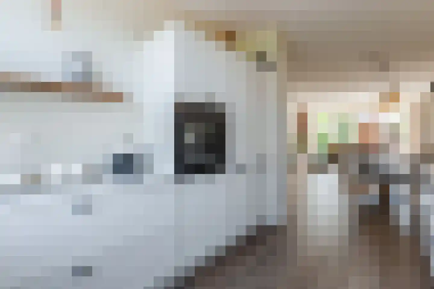 Fazant 13 Uithoorn thumbnail 12