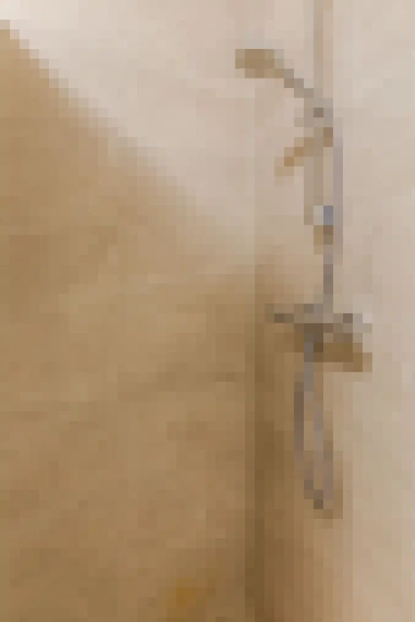 Fazant 13 Uithoorn thumbnail 21
