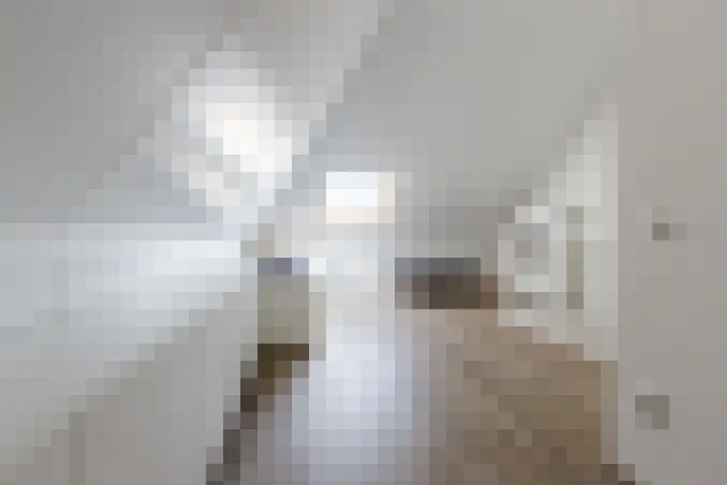 Fazant 13 Uithoorn thumbnail 36