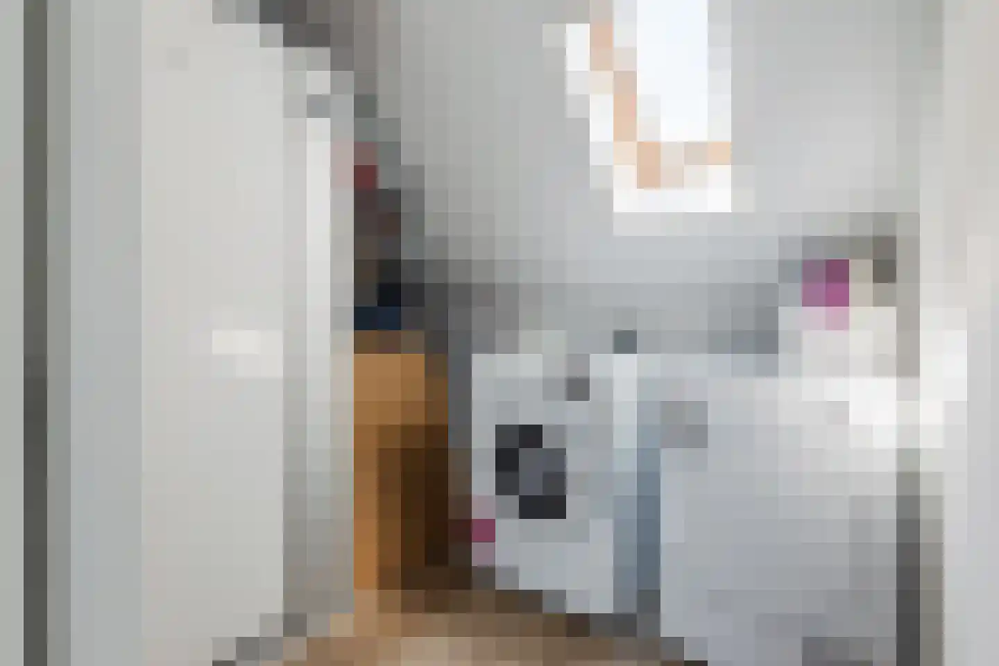 Fazant 13 Uithoorn thumbnail 37