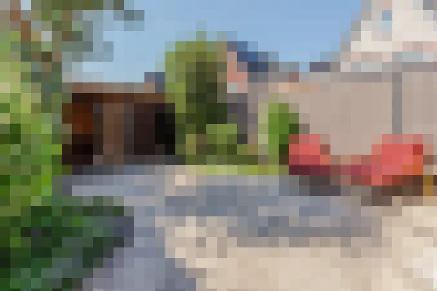 Fazant 13 Uithoorn thumbnail 42