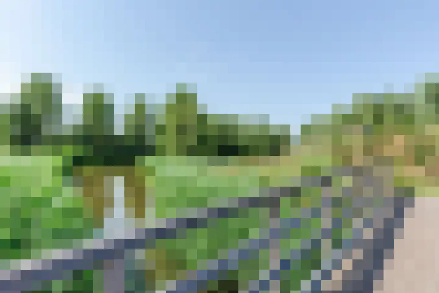 Fazant 13 Uithoorn thumbnail 56