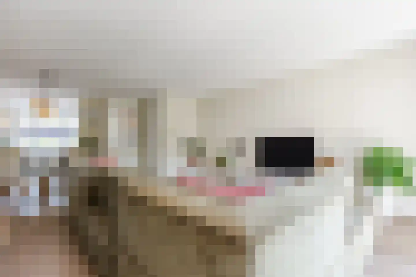 Fazant 13 Uithoorn thumbnail 8