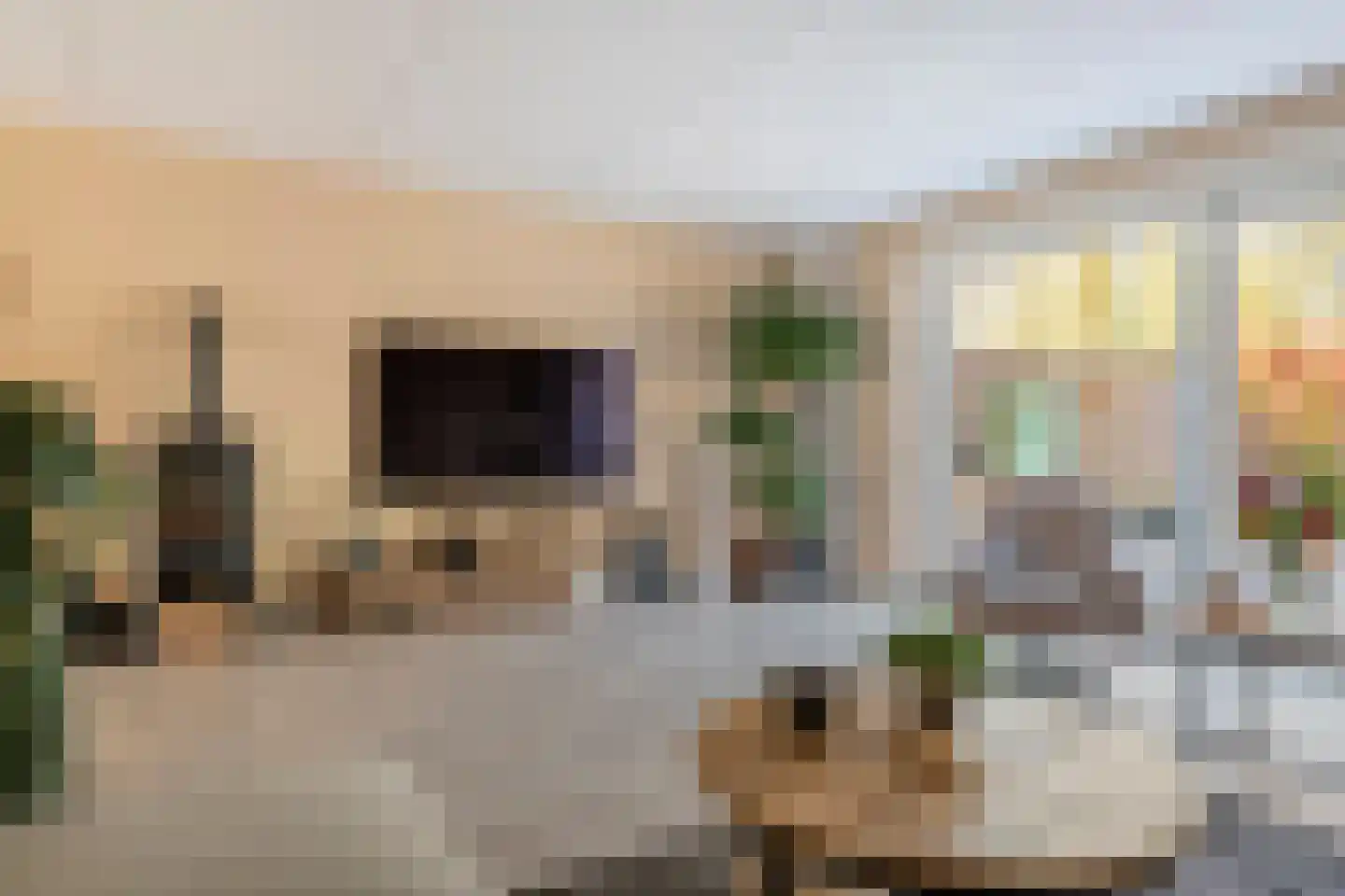 Fazant 14 Maurik thumbnail 7