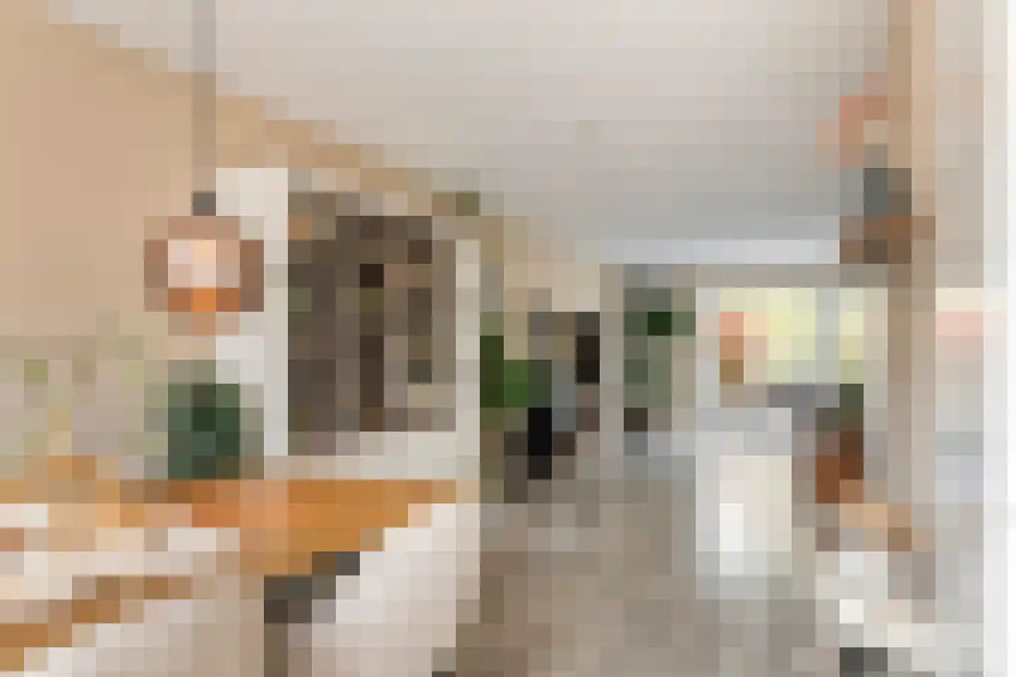 Fazant 14 Maurik thumbnail 9