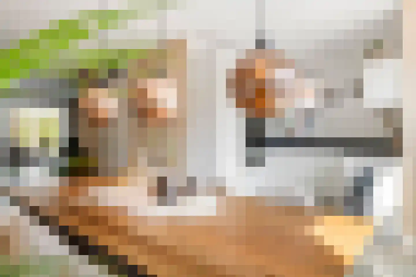 Fazant 14 Maurik thumbnail 13