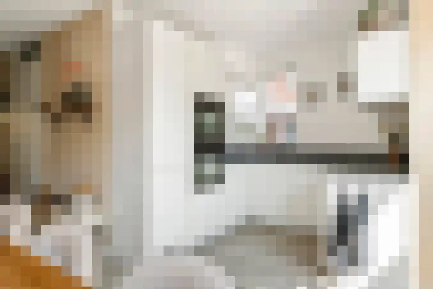 Fazant 14 Maurik thumbnail 21