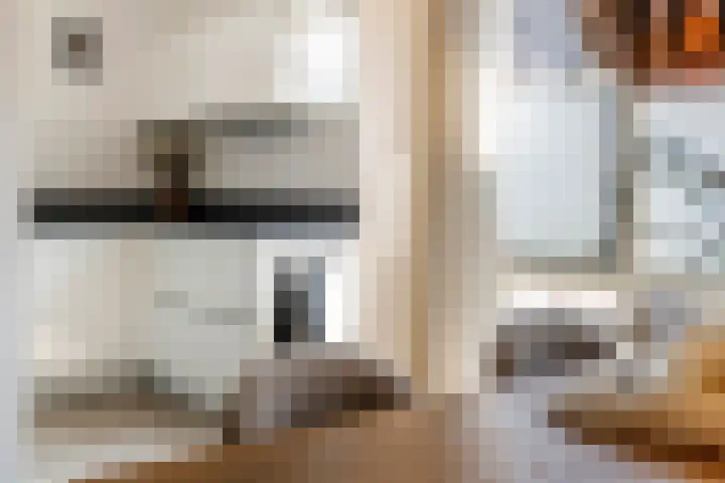 Fazant 14 Maurik thumbnail 14