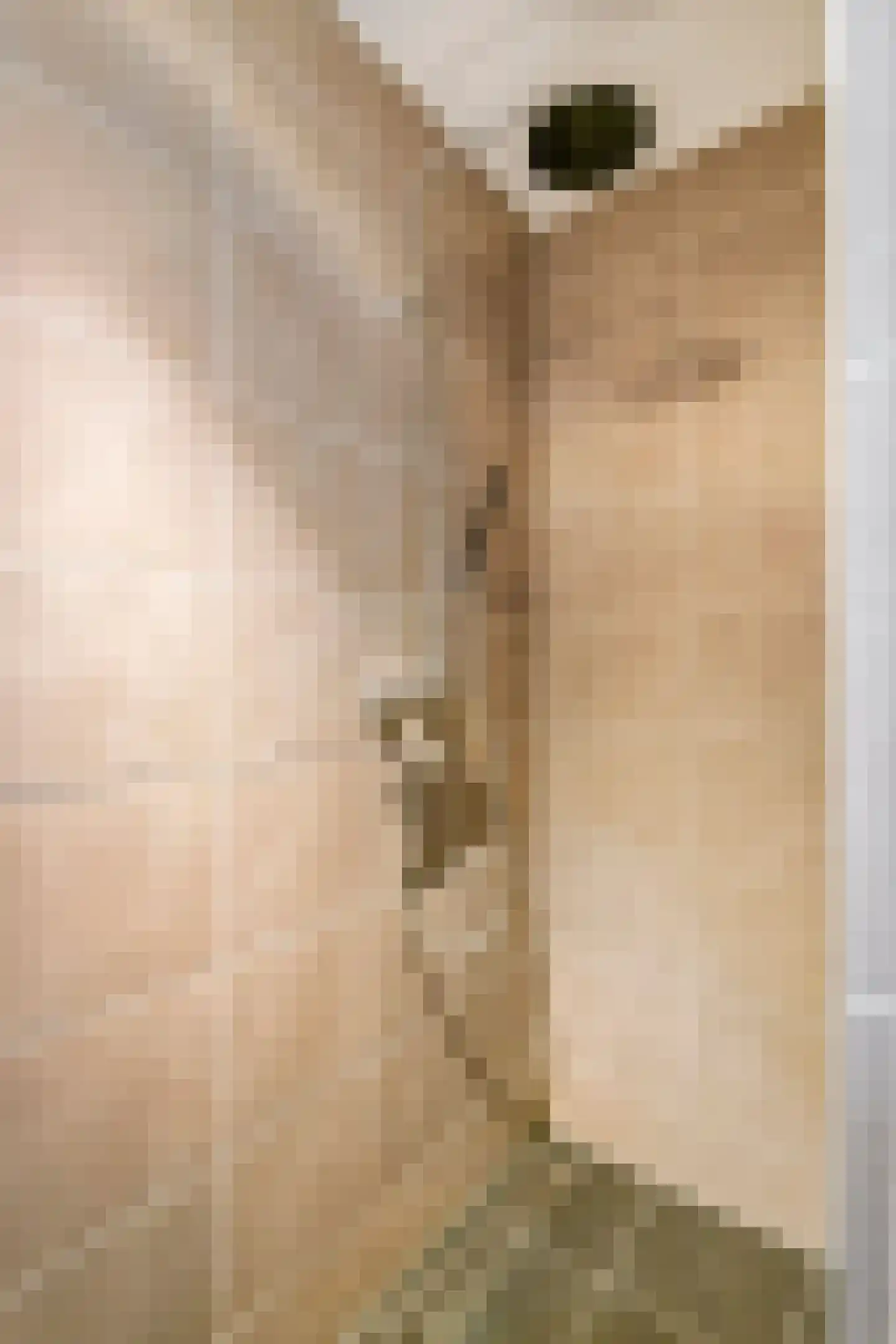 Fazant 14 Maurik thumbnail 20