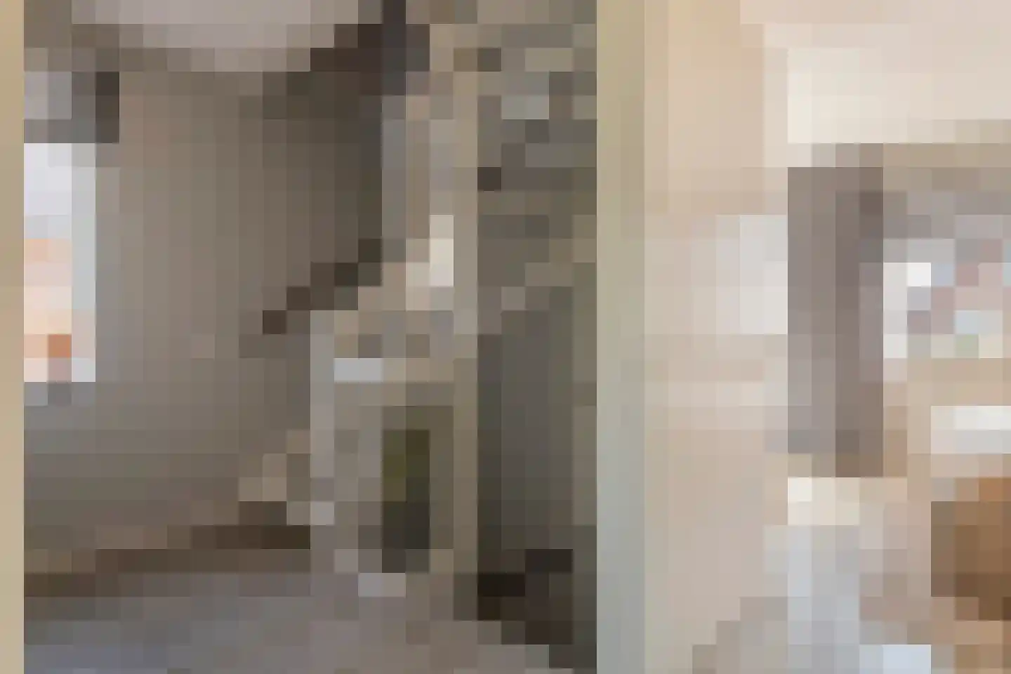 Fazant 14 Maurik thumbnail 26